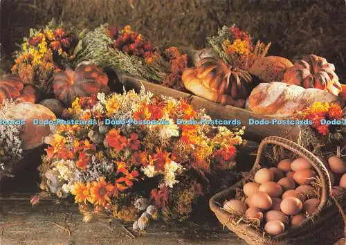 D172981 Aus Armscote Manor Book of Dried Flowers. Kapitel und Strophe. Amanda Doc