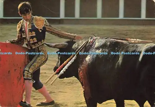 D170135 Corrida de Toros. Excitando al Toro Para el Pase Manuel Benitez. El Cord