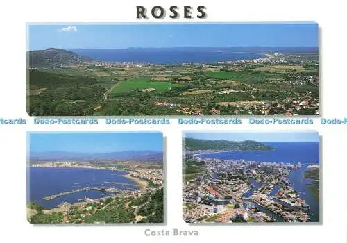 D175633 Rosen. Costa Brava. Verschiedene Ansichten. Katalanisch. Ros Catalan. Multi View