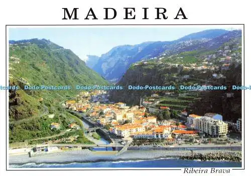 D175636 Madeira. Ribeira Brava. Francisco Ribeiro. Marcial Fernandes