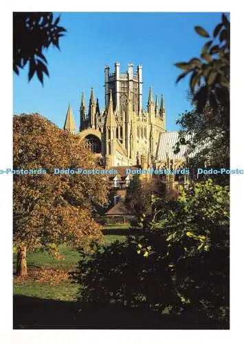 D173016 Cambridgeshire. Ely Cathedral. Dom und Gelände im Herbst. Richter.