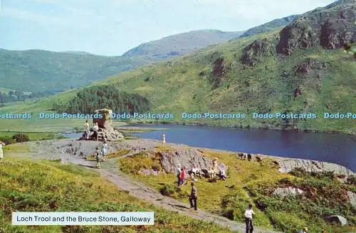 D170160 Galloway. Loch Trool und der Bruce Stone. Whiteholme. A Hail Caledonia P