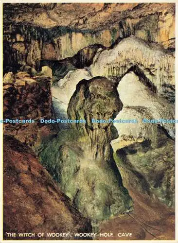 D174338 Holzlochhöhle. Die Hexe von Wookey. J. Arthur Dixon