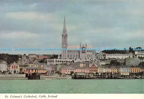 D170168 Irland. St. Colman Cathedral. Cobh. Mount Salus Press