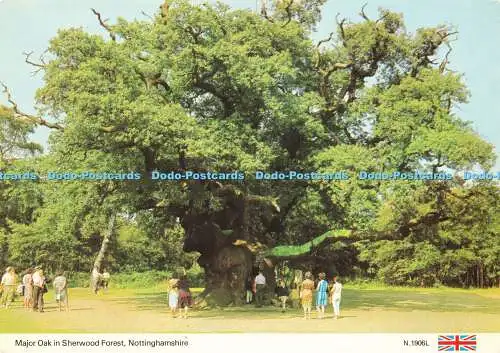 D170171 Nottinghamshire. Major Oak in Sherwood Forest. E. T. W. Dennis