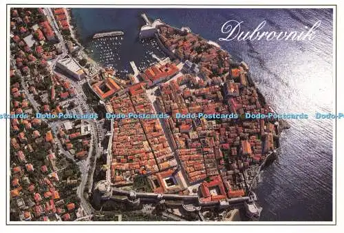 D175679 Dubrovnik. Fokus. A. Carli