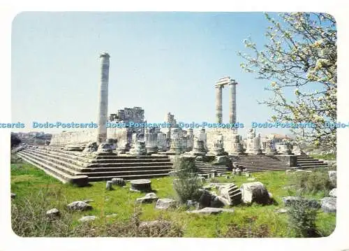 D175680 Türkei. Der Apollon-Tempel in Didima. Aydin. Offset Fotomat. M. Coskun