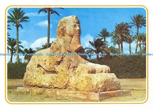 D175699 Gizeh. Die Sphinx von Sakkara. El Faraana Werbung und Druck. Attall