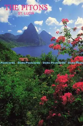 D174391 Westindien. St. Lucia. Die Pitons. Arkade Noah. John Penrod