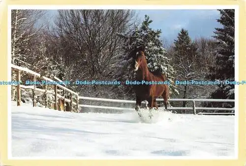 D175730 Tutzing. Winter in Bayern. Boiselle. Gabriele Boiselle