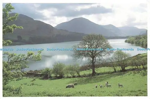 D175736 Loweswater. Frank Peters Farbdrucker. Mikeye Karten