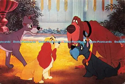 D170248 Cartoon. Vier Hunde. Walt Disney. Serie. Disney. 203. 6. Maucci