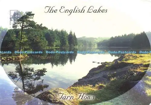 D175769 Tarn Hows. Die englischen Seen. Mikes Eye Cards