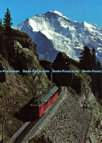 D174540 Jungfrau. Bergbahn Schynige Platte. Gyger