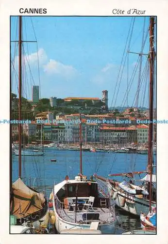 D174543 Cannes. Cote d Azur. Le Port Avec vue sur le Suquet. Fisa. 1991