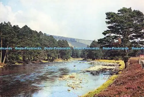 D175872 Aberdeenshire. Der Fluss Dee in der Nähe von Braemar. J. Arthur Dixon