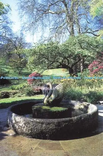 D174607 Dartington Hall Gardens. Willi Soikoup Schwanenbrunnen. Kate Mount. 1950