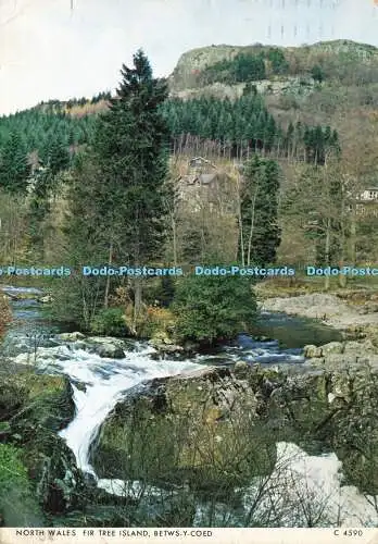 D173311 Betws y Coed. Nordwales. Tannenbauminsel. Richter. C. 4590. 1988