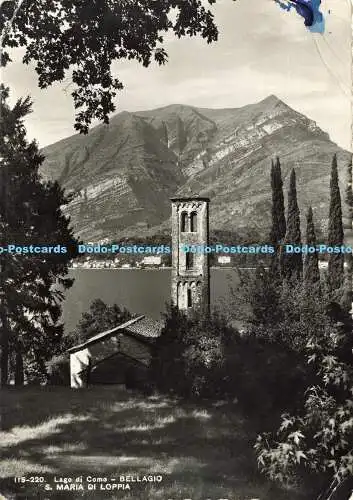 D173328 Lago di Como. Bellagio. S Maria di Loppia. Brunner. RP