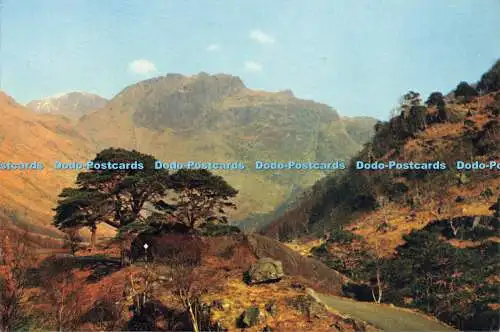 D176138 Inverness Shire. Glen Nevis in der Nähe von Fort William. J. Arthur Dixon