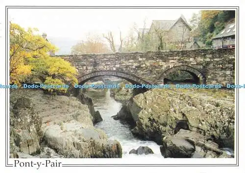 D177308 Pont y Paar. Bettys y Coed. Richter. C. 12346