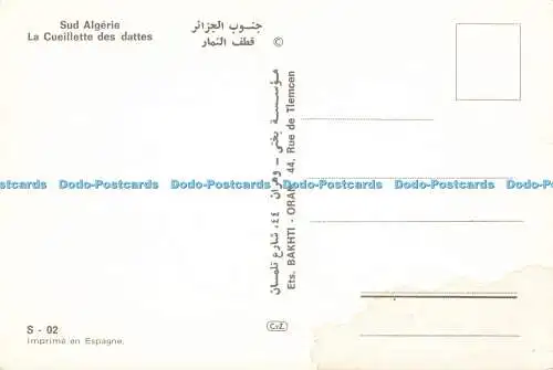 D174844 Sud Algerie. La Cueillette des Dattes. Ets. Bakhti Oran. C. y. Z