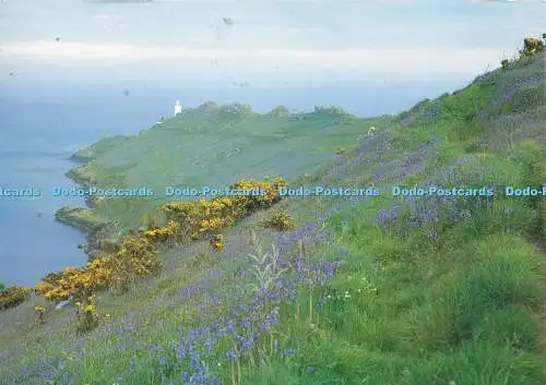 D177387 South Devon. Startpunkt. Küstenkarten. Die Devonshire Press. Clare Pawle