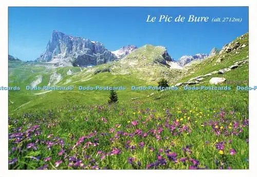 D177476 Le Pic de Bure. Des Alpes. Charly Baile