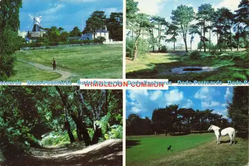 D176323 Wimbledon Common. Bennett. Multi View