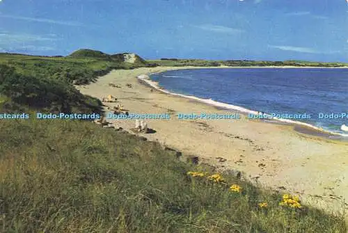 D177529 Northumberland. Embleton Bay. J. Arthur Dixon