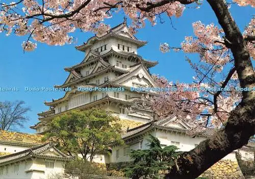 D177551 Burg Himeji. Nationalschatz. Asahi Karte