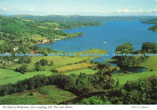 D176417 The Lake District. Der Kopf von Windermere von Loughrigg fiel. John Hind