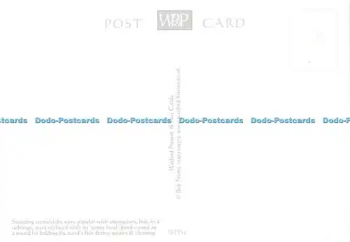 D176419 Watford. Die Post am Teich. Watford Present and Past Cards