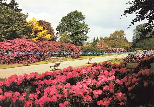 D177589 Kew. Royal Botanic Gardens. Blick entlang des breiten Weges. J. Arthur Dixon