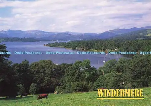 D176426 Windermere. John Hinde. George Allsop