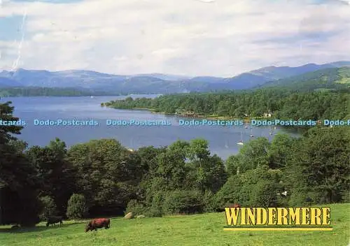 D176428 Windermere. John Hinde. George Allsop