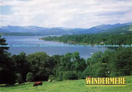 D176430 Windermere. John Hinde. George Allsop