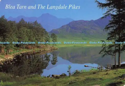 D176435 Blea Tarn and the Langdale Pikes. John Hinde. Julie Fritteuse. 1998