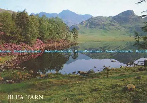 D176437 Blea Tarn. Und Langdale Pikes. J. Lachs