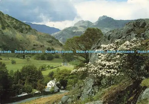 D176456 The Langdale Valley. Sanderson und Dixon. Jarrold. 1989