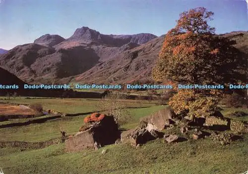 D177646 Great Langdale. Von den Langdale Pikes übersehen. Larkfield Printing. 19