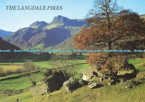 D177647 Tha Langdale Pikes. J. Salmon. 1992