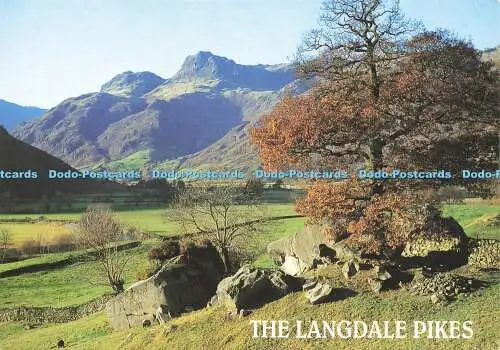 D177648 Tha Langdale Pikes. J. Lachs