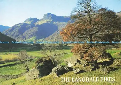 D177649 Tha Langdale Pikes. J. Lachs