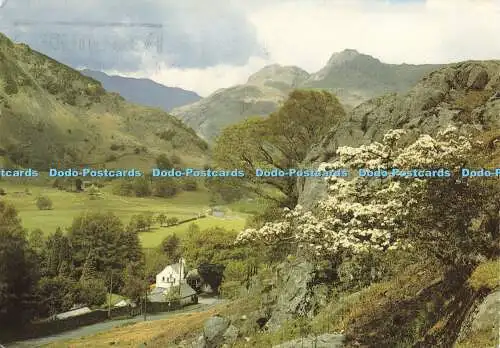 D177656 The Langdale Valley. Sanderson und Dixon. Jarrold