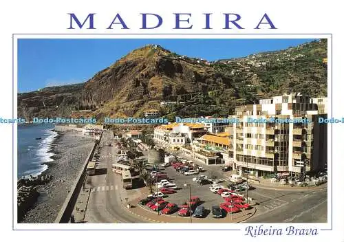 D176485 Madeira. Ribeira Brava. Francisco Ribeiro. Fisa