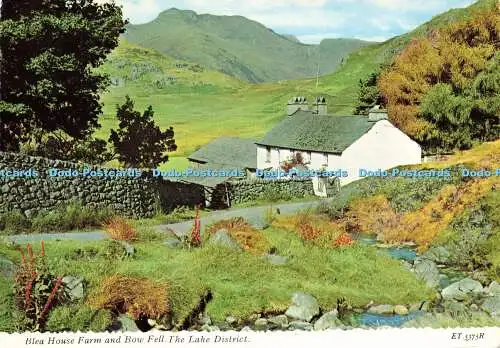 D175207 The Lake District. Blea House Farm und Bow Fell. Valentinstag. 1976