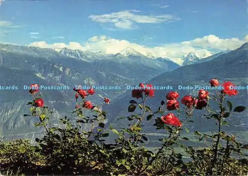 D177699 Panorama vu de Montana. Fotoglob. Wehrli. 1966