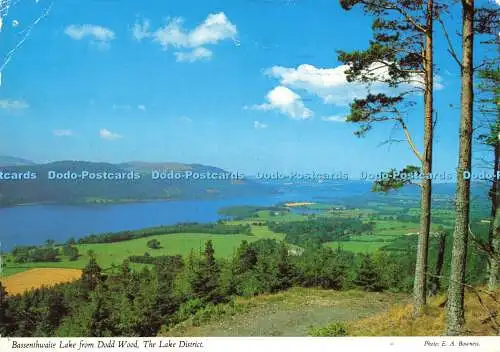 D175242 The Lake District. Bassenthwaite Lake von Dodd Wood. John Hinde. E.A.