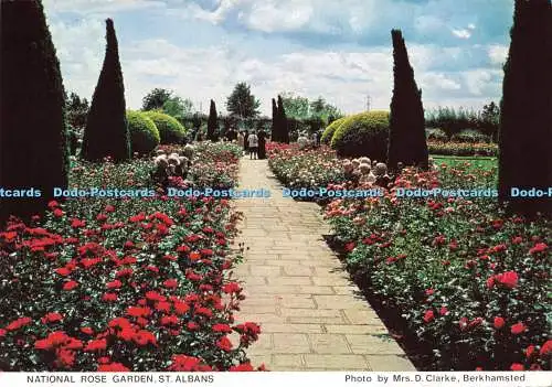 D177736 St. Albans. National Rose Garden. The Royal British Legion Women Section